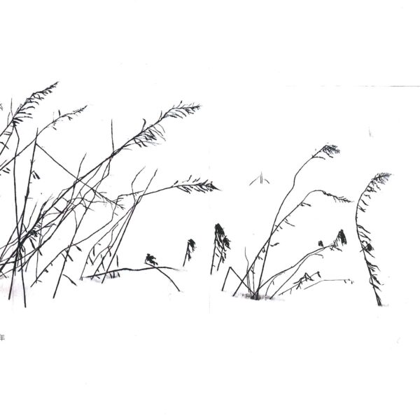 中村眞美子 ドライポイント版画展 『冬の草の風景』