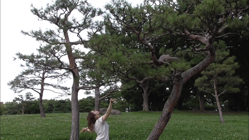擬態表現のビデオ記録作品「木になる」 １分２５秒　2021年　（動画の一部、静止画）